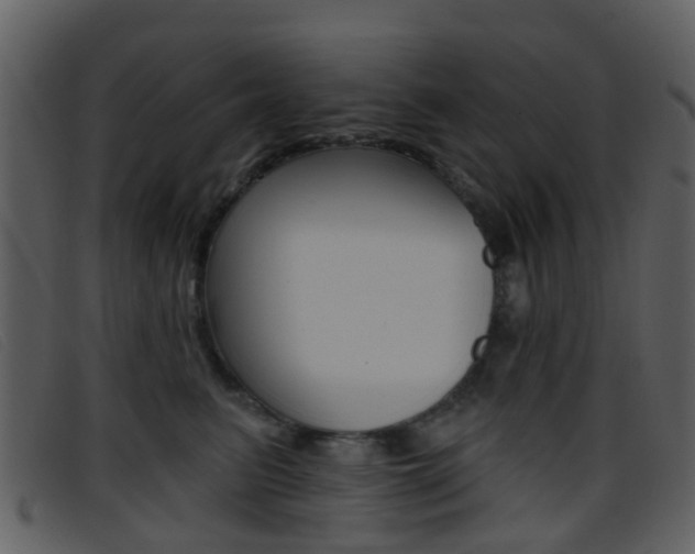 X0000096660615200802050958