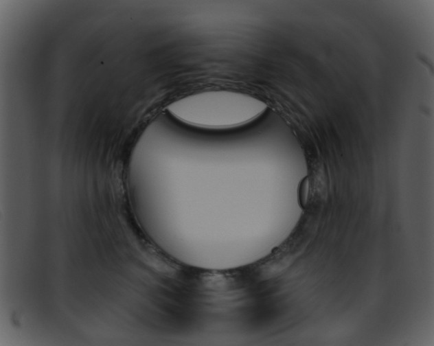 X0000096660616200802050958