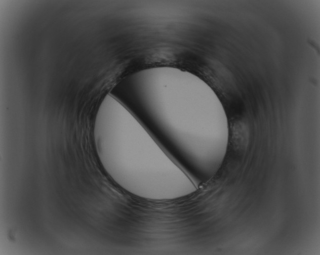 X0000096660617200802050958