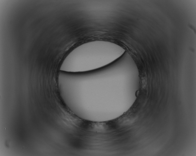 X0000096660618200802050958