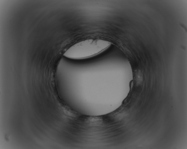 X0000096660619200802050958