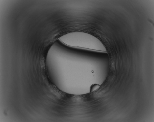X0000096660620200802050958