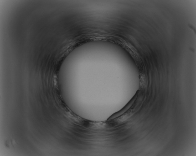 X0000096660621200802050958