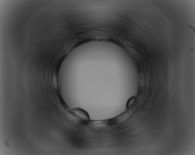 X0000096660622200802050958