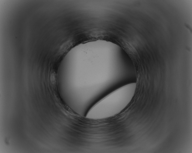 X0000096660623200802050958