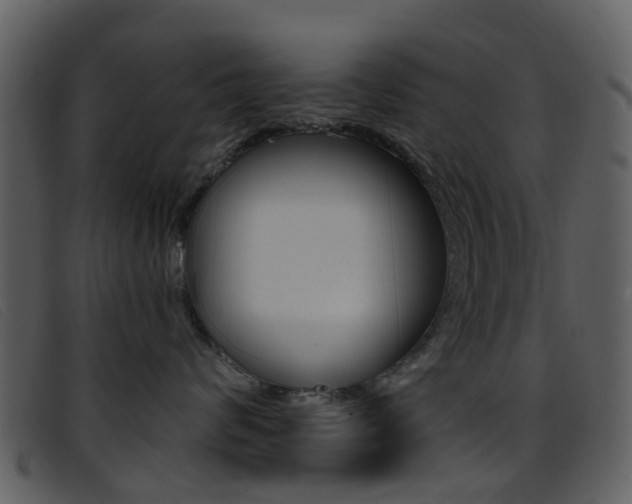 X0000096660624200802050958
