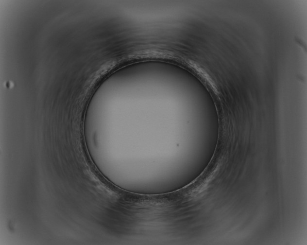 X0000096660625200802050957