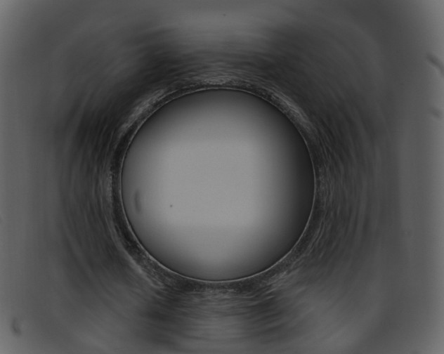 X0000096660626200802050957