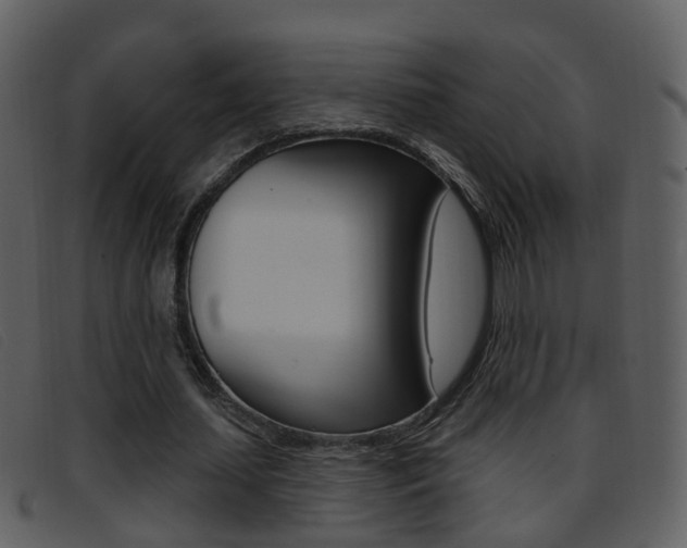 X0000096660627200802050957