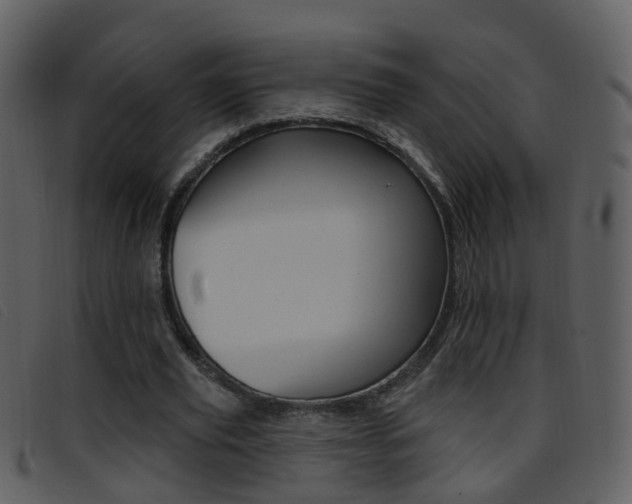 X0000096660629200802050957