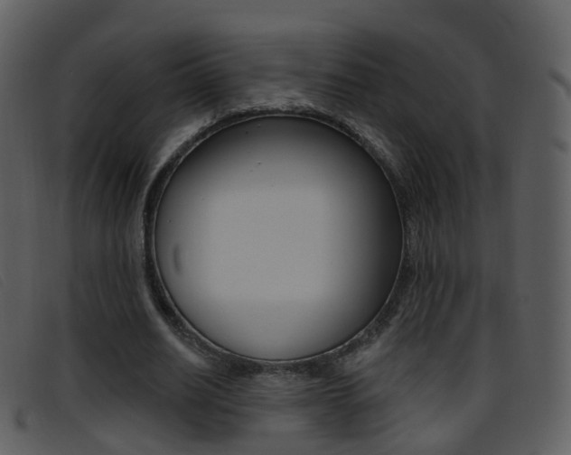 X0000096660630200802050957