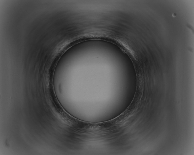 X0000096660631200802050957