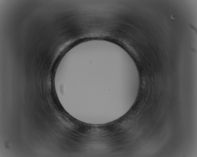 X0000096660632200802050957