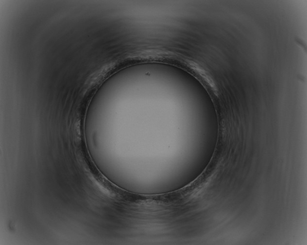 X0000096660633200802050957