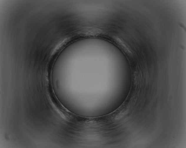 X0000096660634200802050957