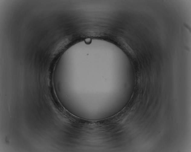 X0000096660635200802050957