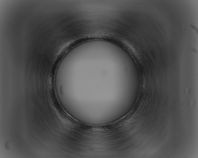 X0000096660636200802050957