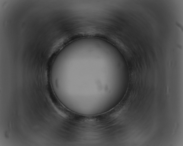 X0000096660638200802050957