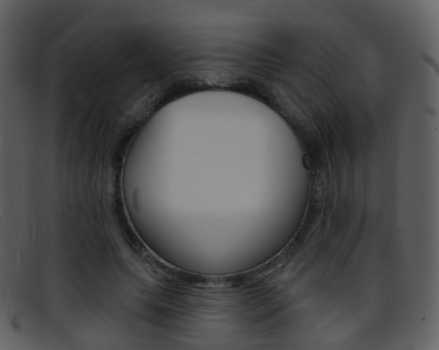 X0000096660639200802050957
