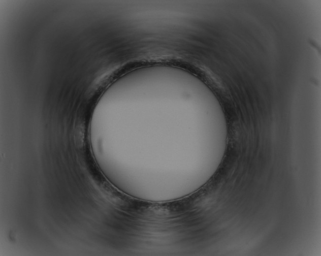 X0000096660640200802050957