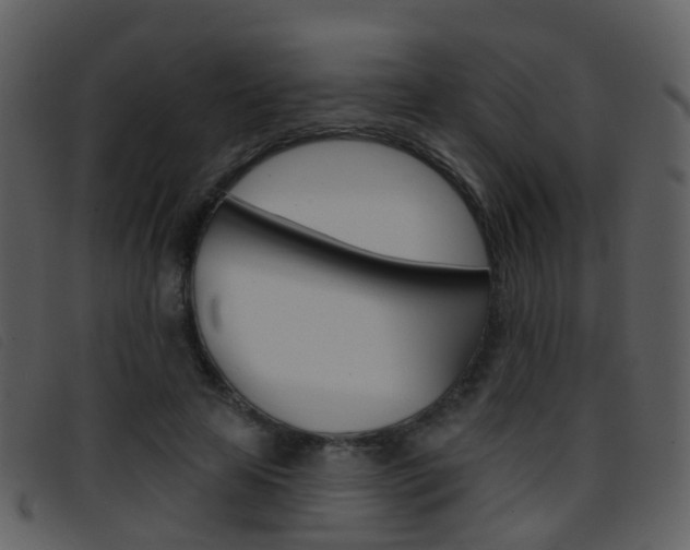 X0000096660641200802050957