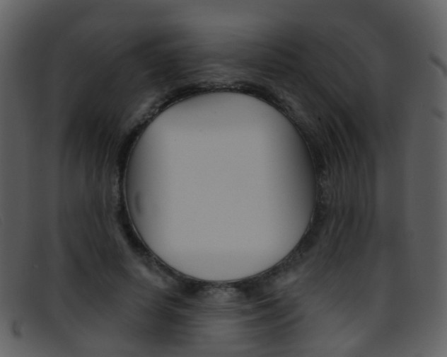 X0000096660642200802050957