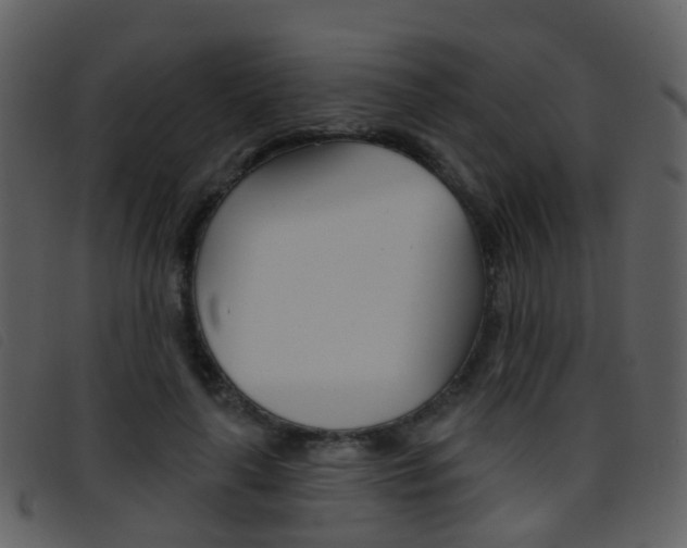 X0000096660643200802050957
