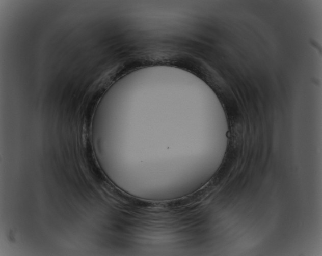 X0000096660644200802050957