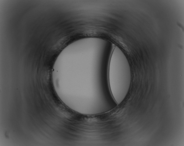 X0000096660645200802050957