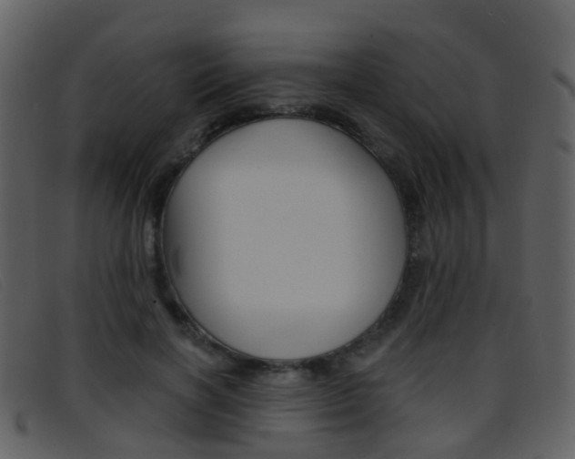 X0000096660646200802050957