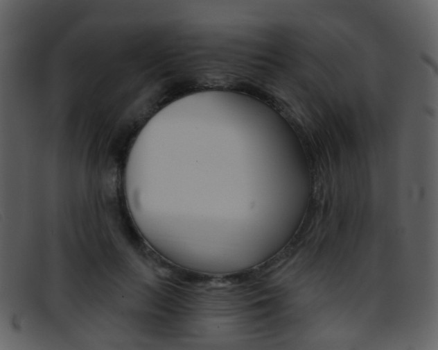 X0000096660647200802050957