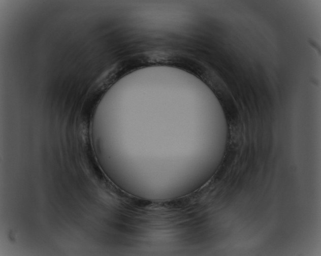 X0000096660648200802050957