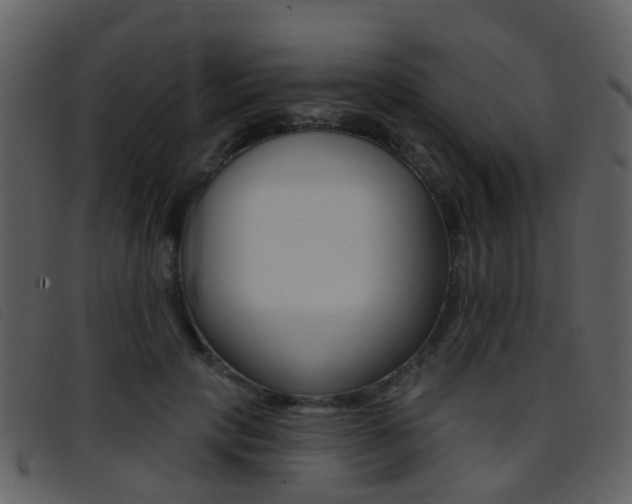 X0000096660649200802050957