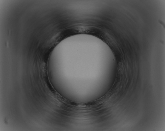 X0000096660650200802050957