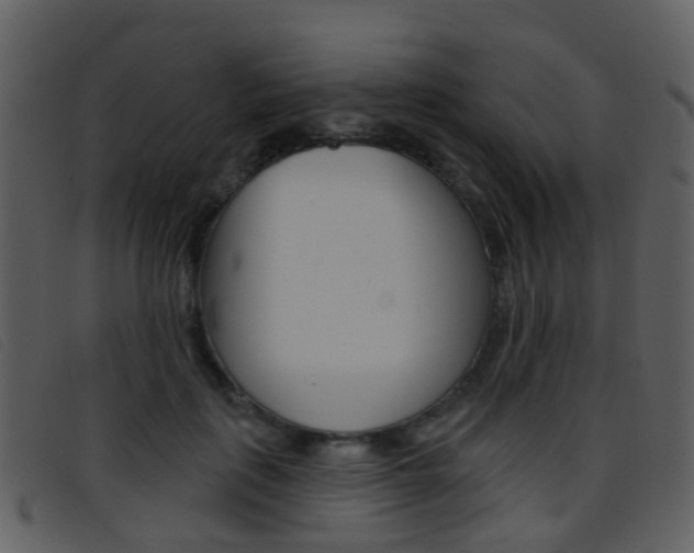 X0000096660651200802050957