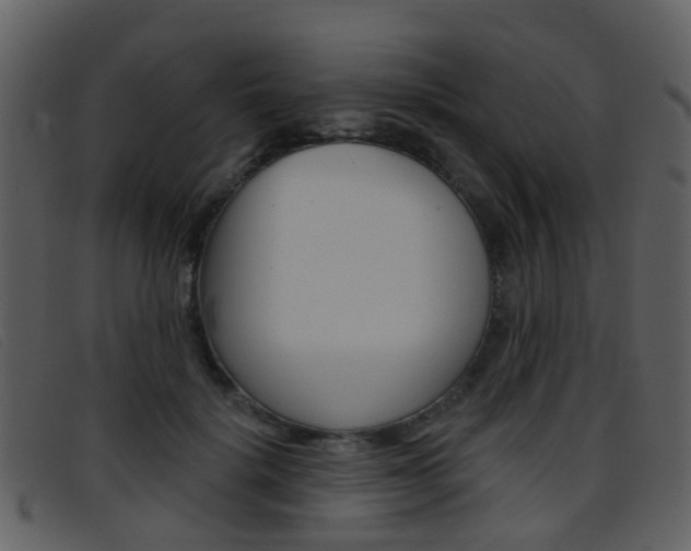 X0000096660652200802050957