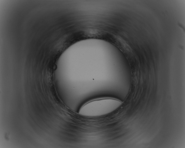 X0000096660653200802050957