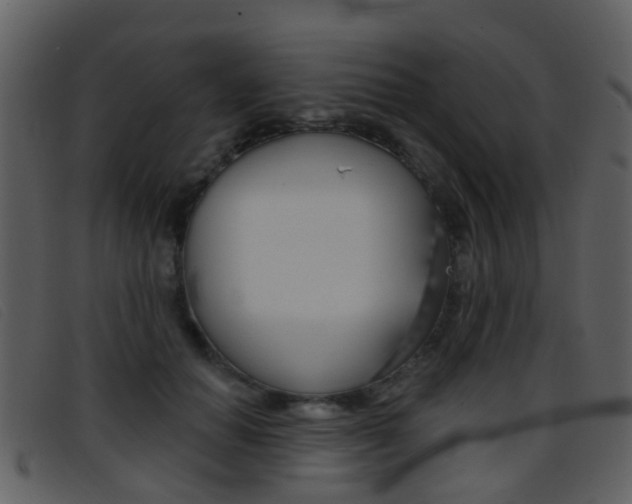 X0000096660654200802050957