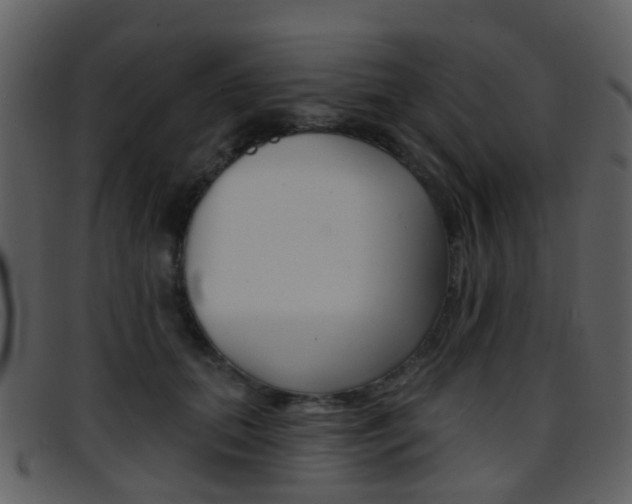 X0000096660655200802050958