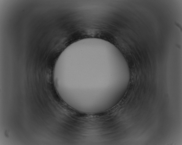 X0000096660656200802050958