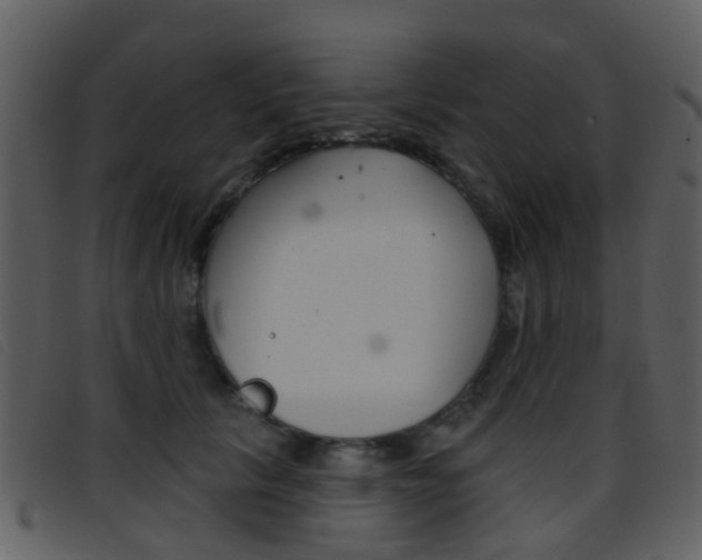 X0000096660657200802050958