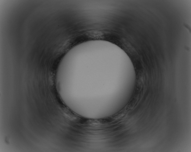 X0000096660658200802050958