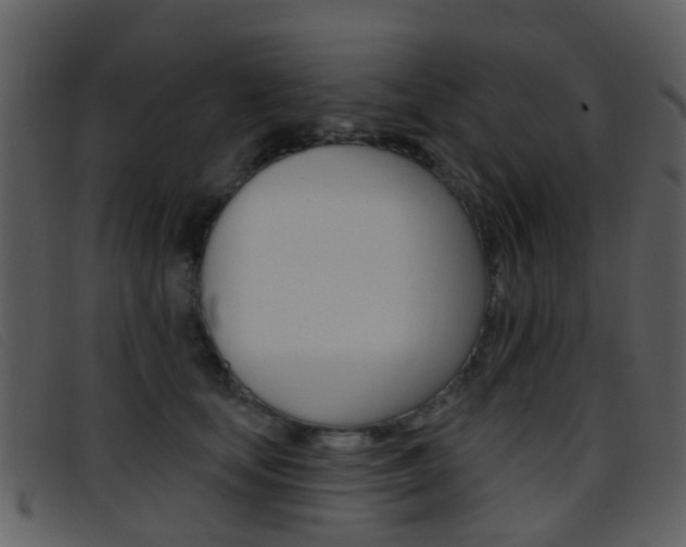 X0000096660659200802050958