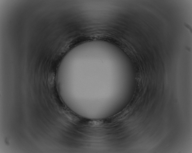 X0000096660660200802050958