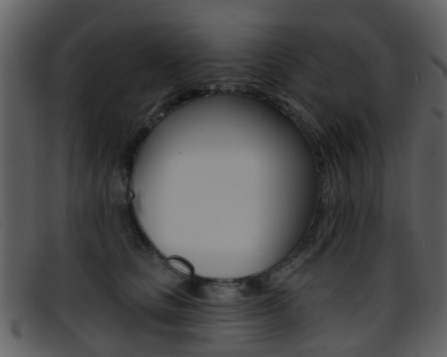 X0000096660661200802050958