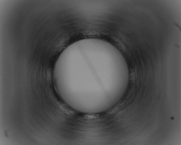 X0000096660662200802050958