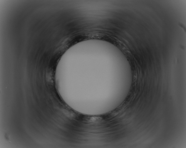 X0000096660663200802050958
