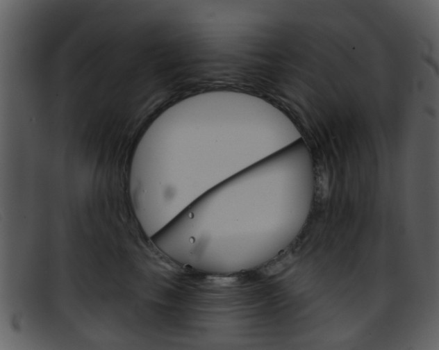 X0000096660665200802050958