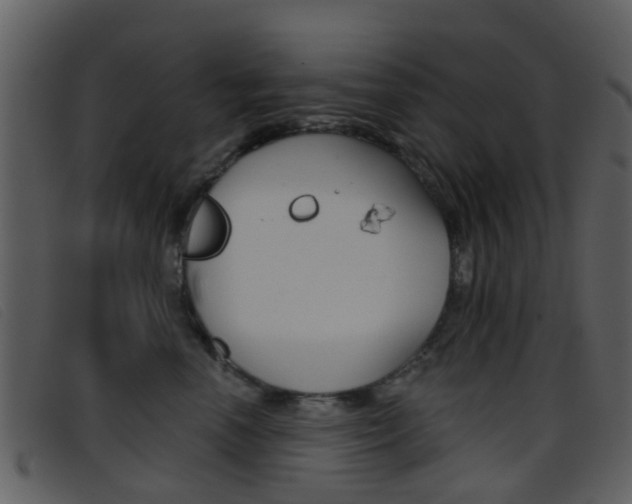 X0000096660666200802050958