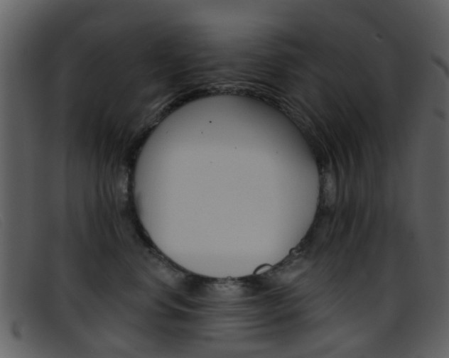 X0000096660668200802050958
